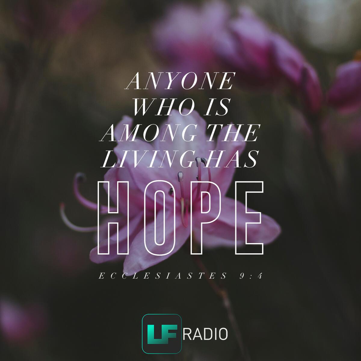 Ecclesiastes 9:4 - Verse of the Day