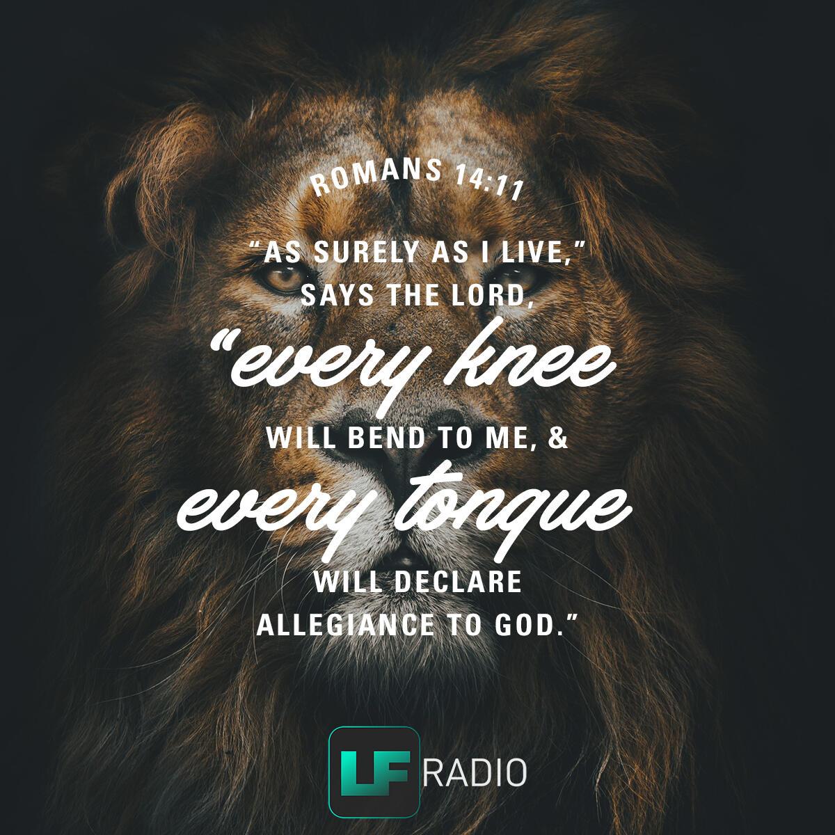 Romans 14:11 - Verse of the Day
