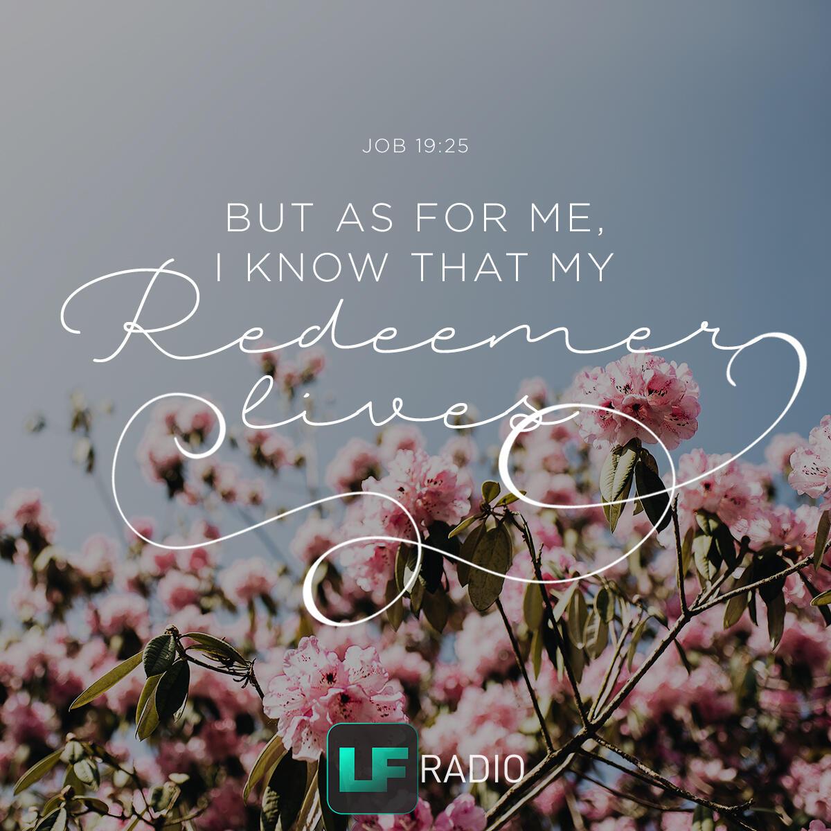 Job 19:25 - Verse of the Day