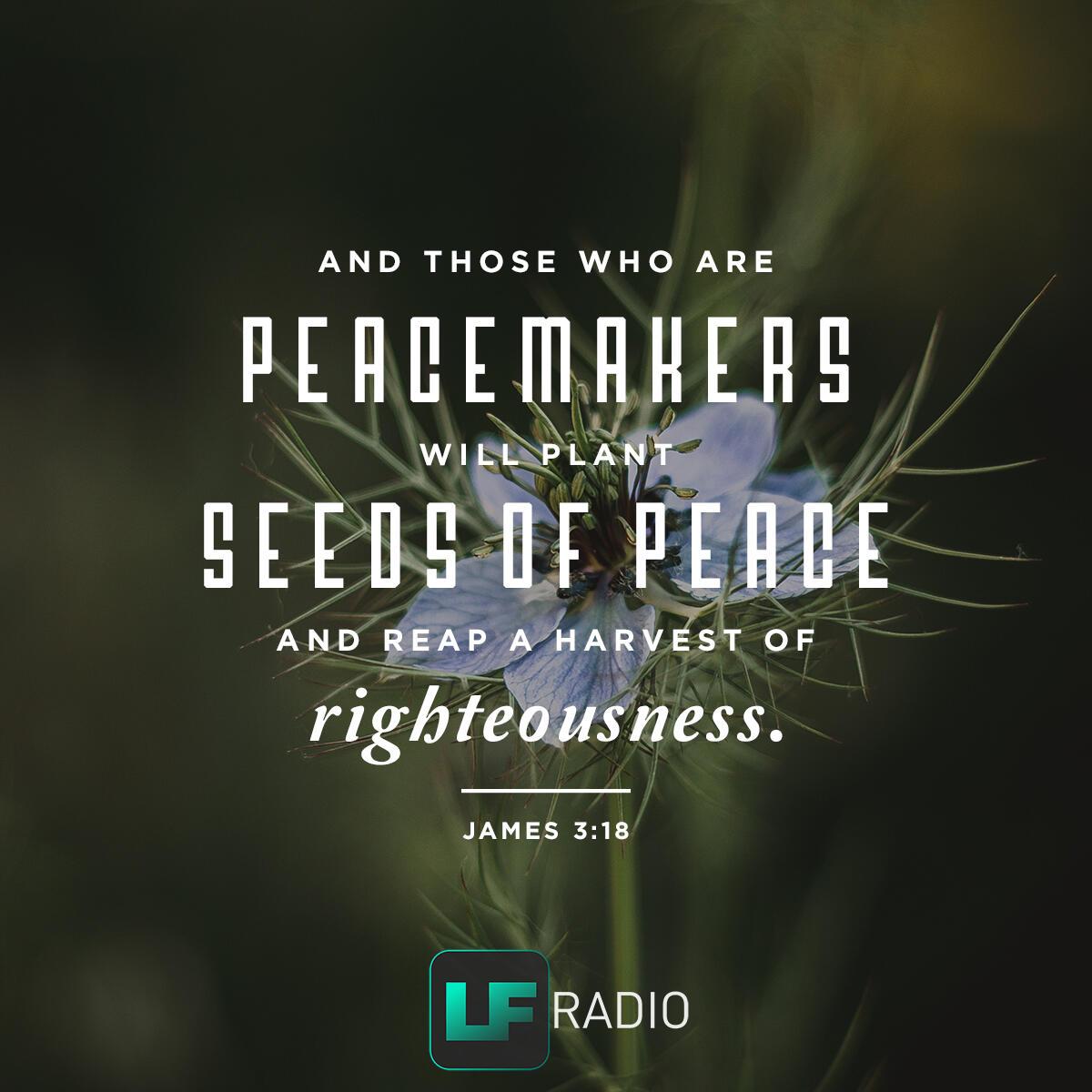 James 3:18 - Verse of the Day