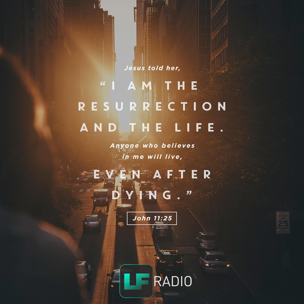 John 11:25 - Verse of the Day