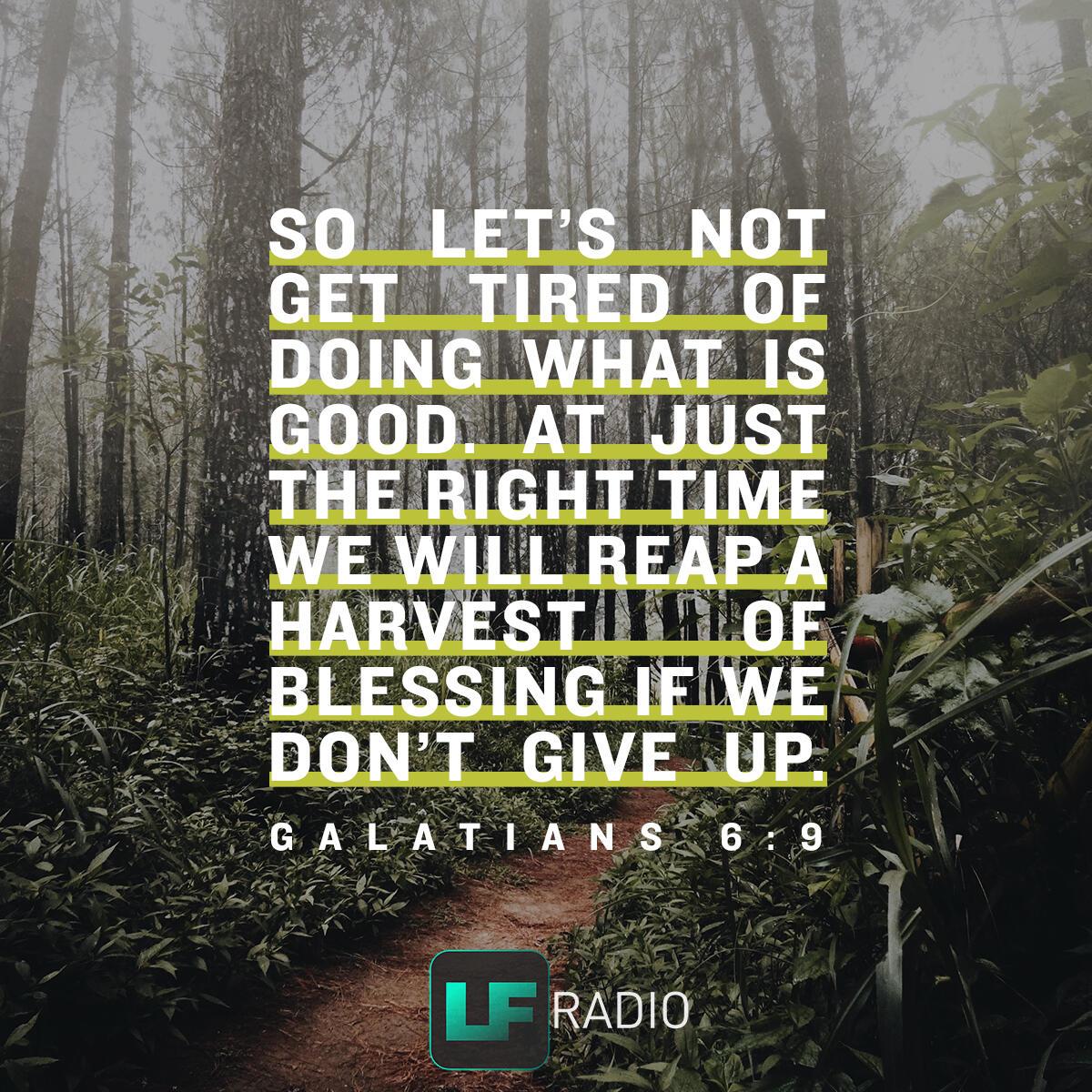Galatians 6:9 - Verse of the Day