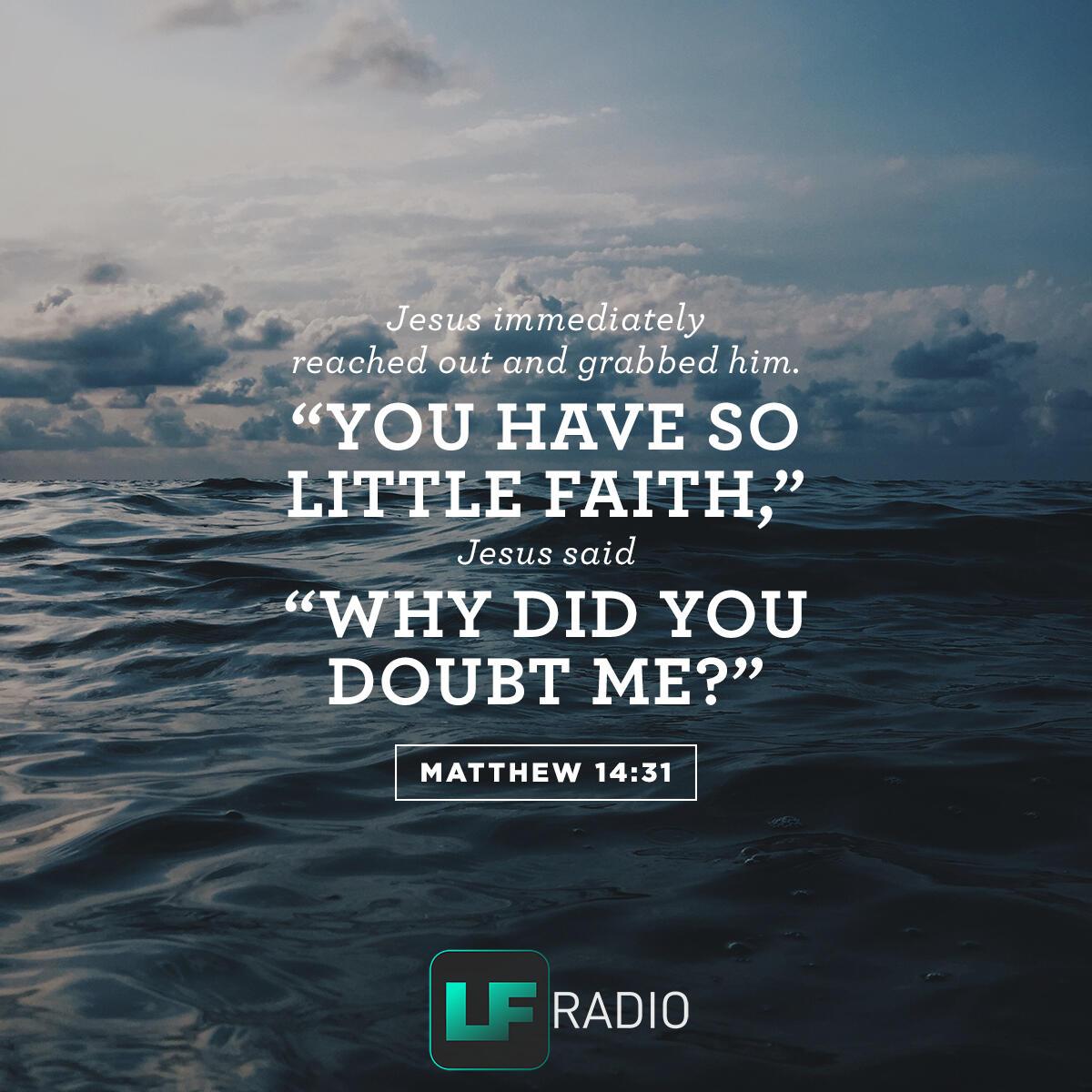 Matthew 14:31 - Verse of the Day