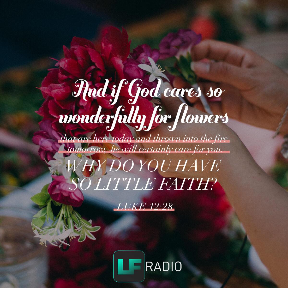Luke 12:28 - Verse of the Day