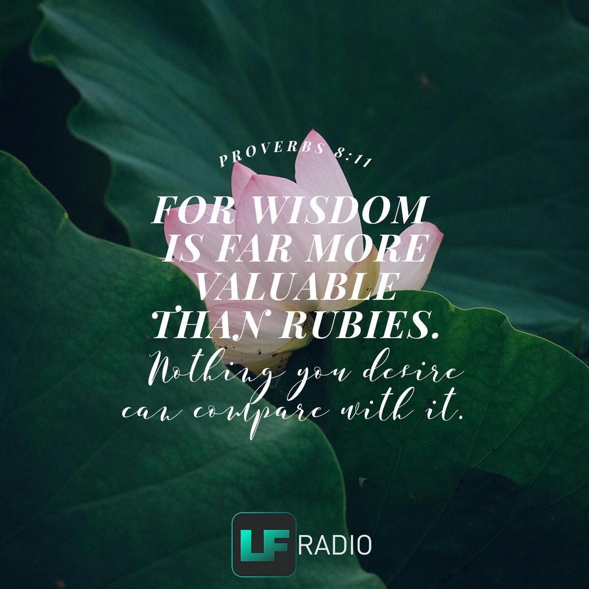 Proverbs 8:11 - Verse of the Day
