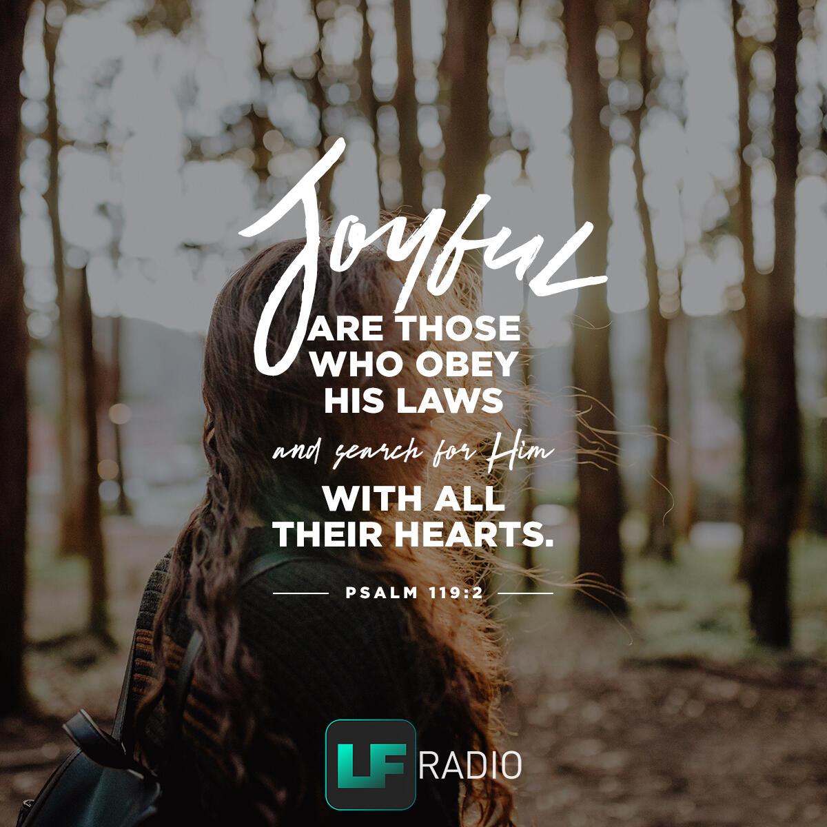 Psalm 119:2 - Verse of the Day