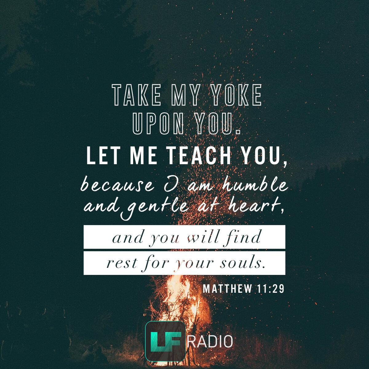 Matthew 11:29 - Verse of the Day