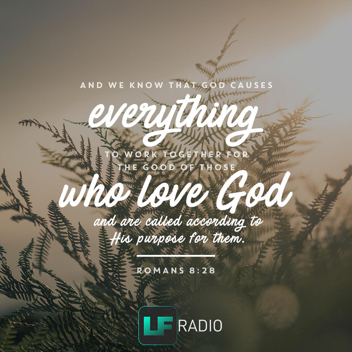Romans 8:28 - Verse of the Day