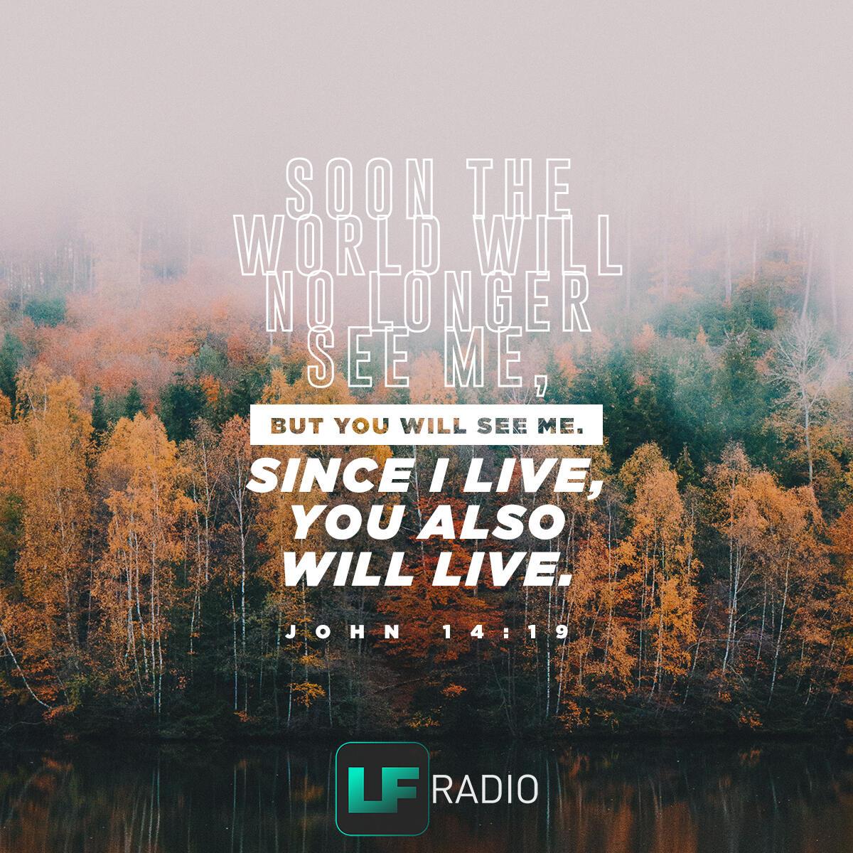 John 14:19 - Verse of the Day