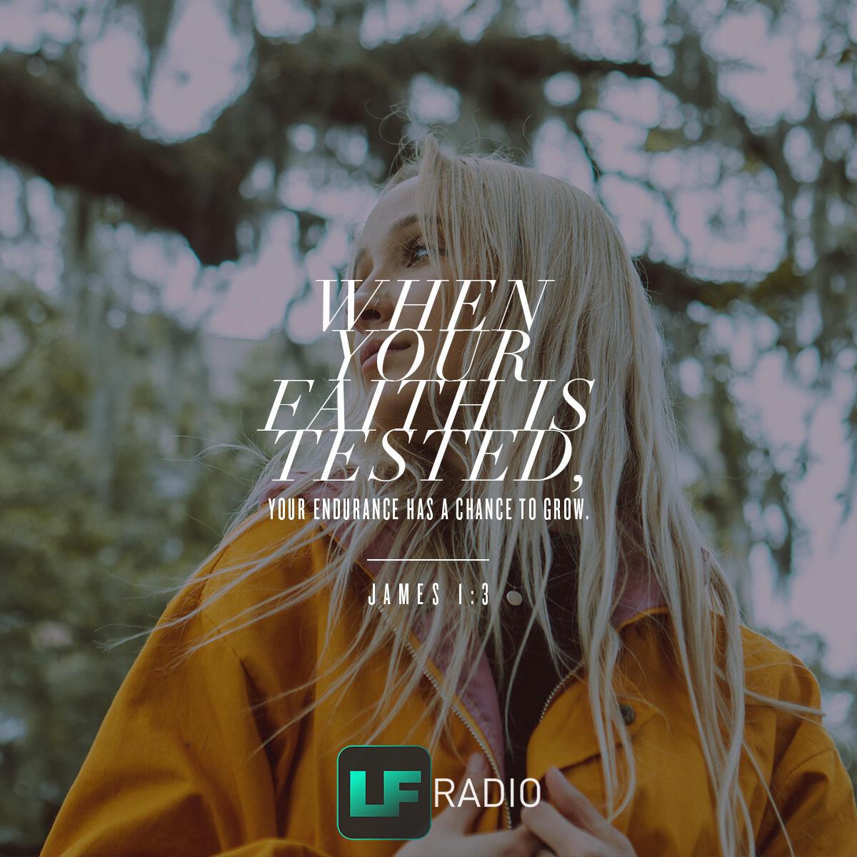 James 1:3 - Verse of the Day