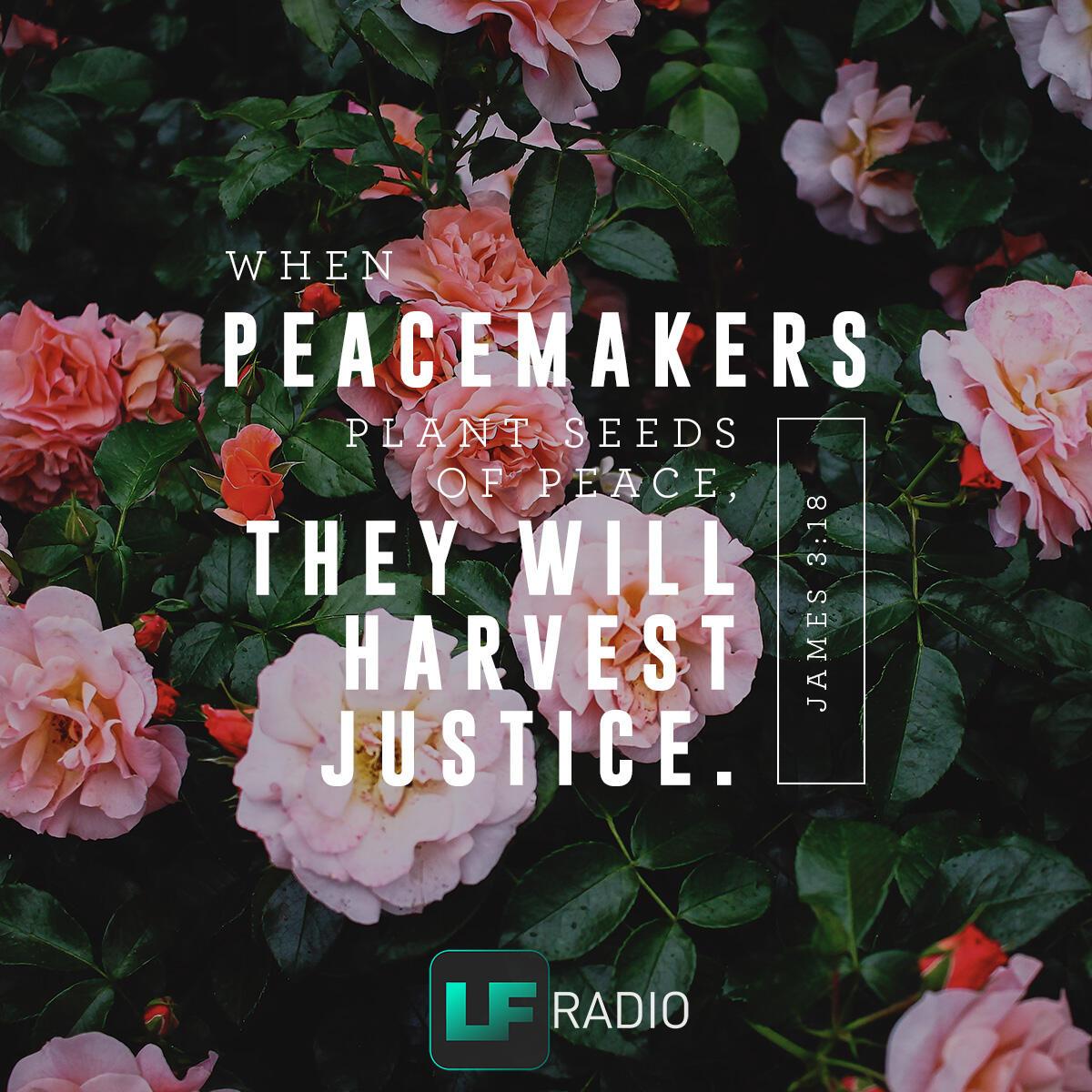 James 3:18 - Verse of the Day