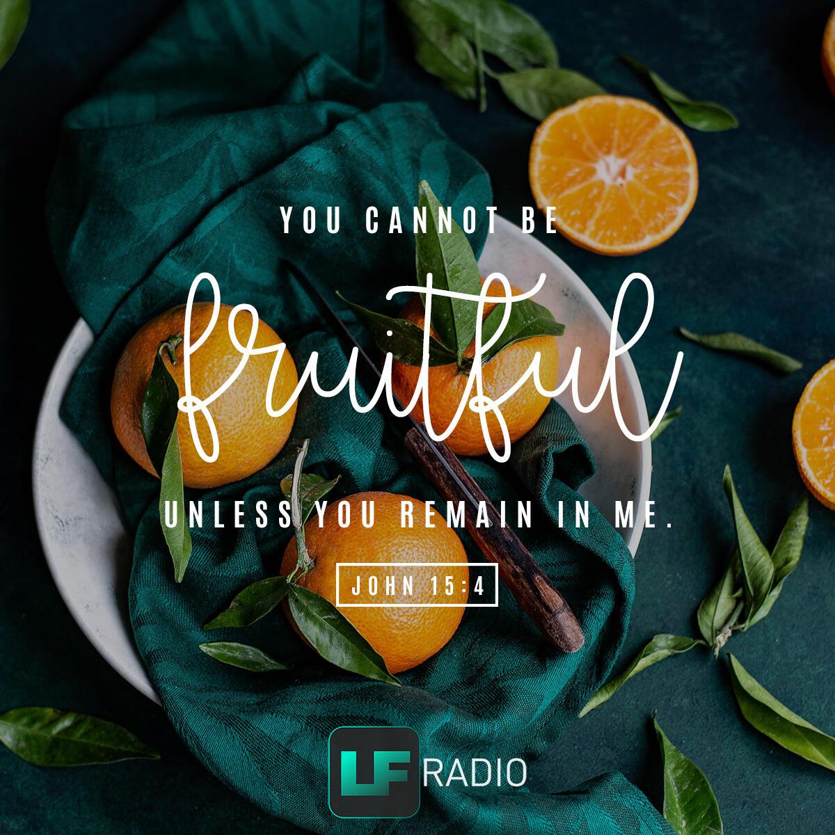 John 15:4 - Verse of the Day