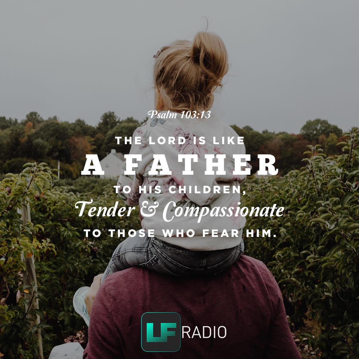 Psalm 103:13 - Verse of the Day