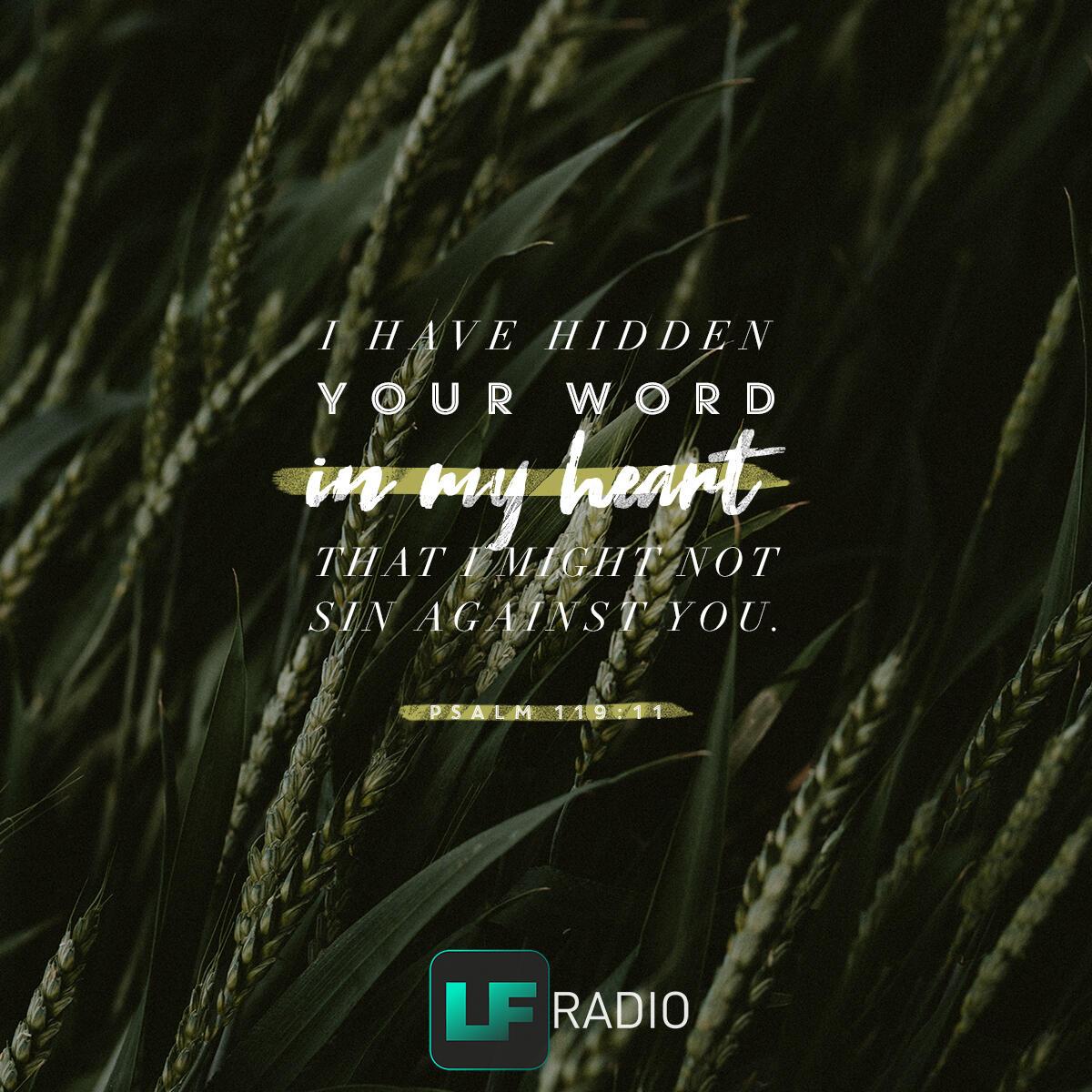 Psalm 119:11 - Verse of the Day
