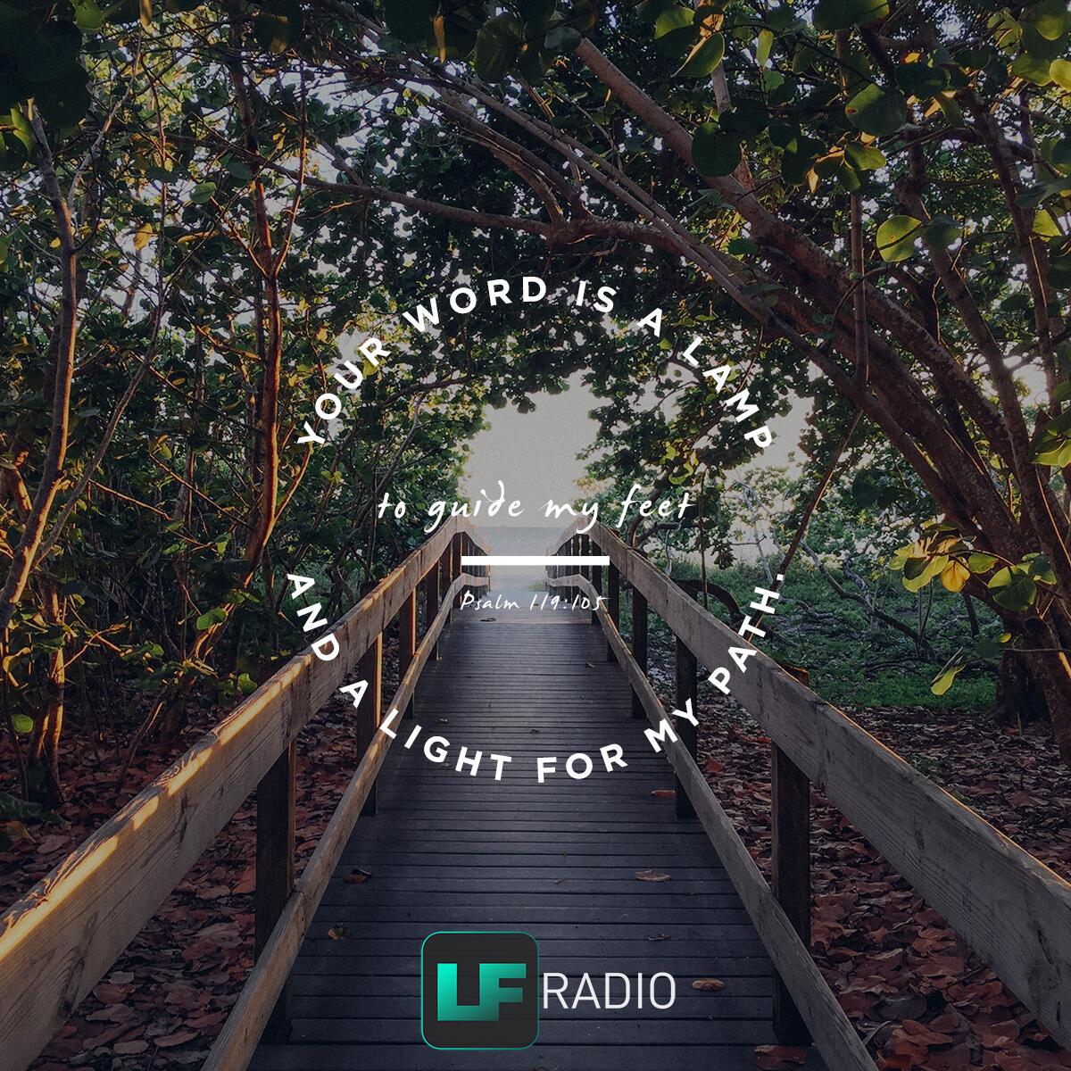 Psalm 119:105 - Verse of the Day