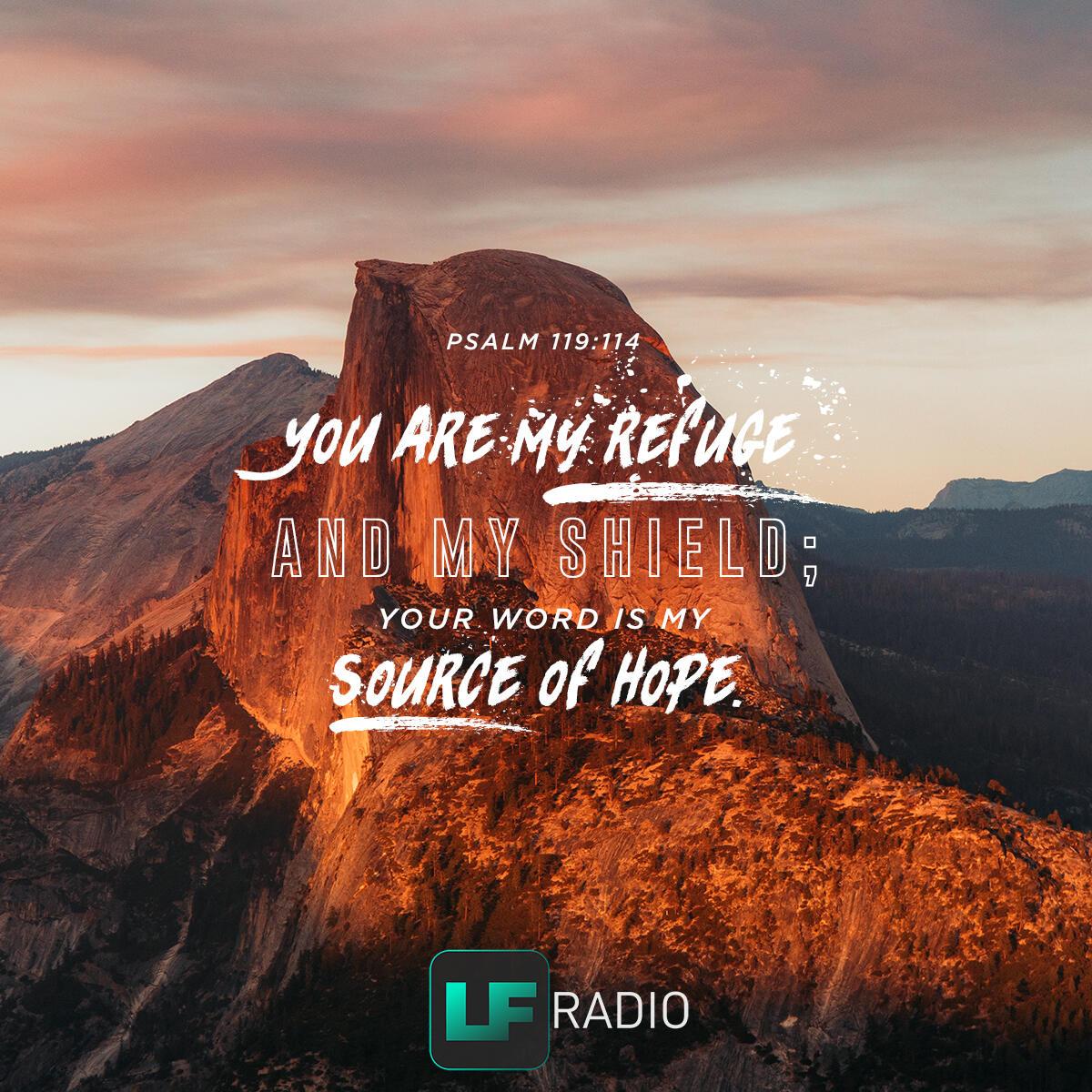 Psalm 119: 114 - Verse of the Day