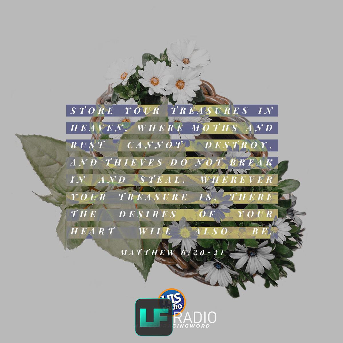 Matthew 6:20-21 - Verse of the Day