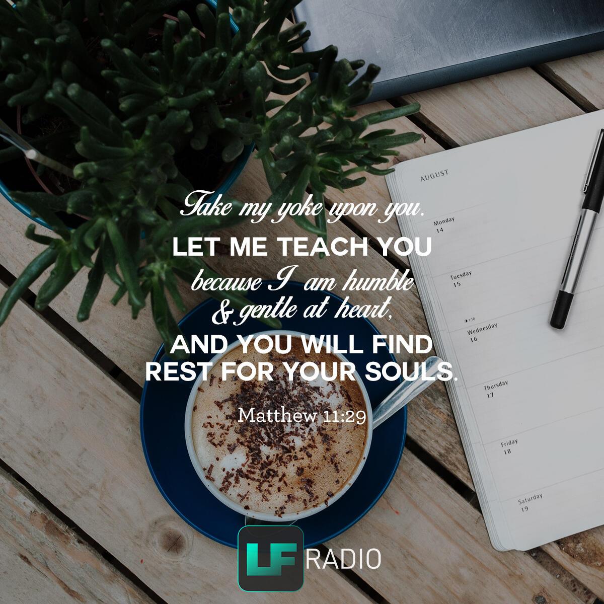 Matthew 11:29 - Verse of the Day