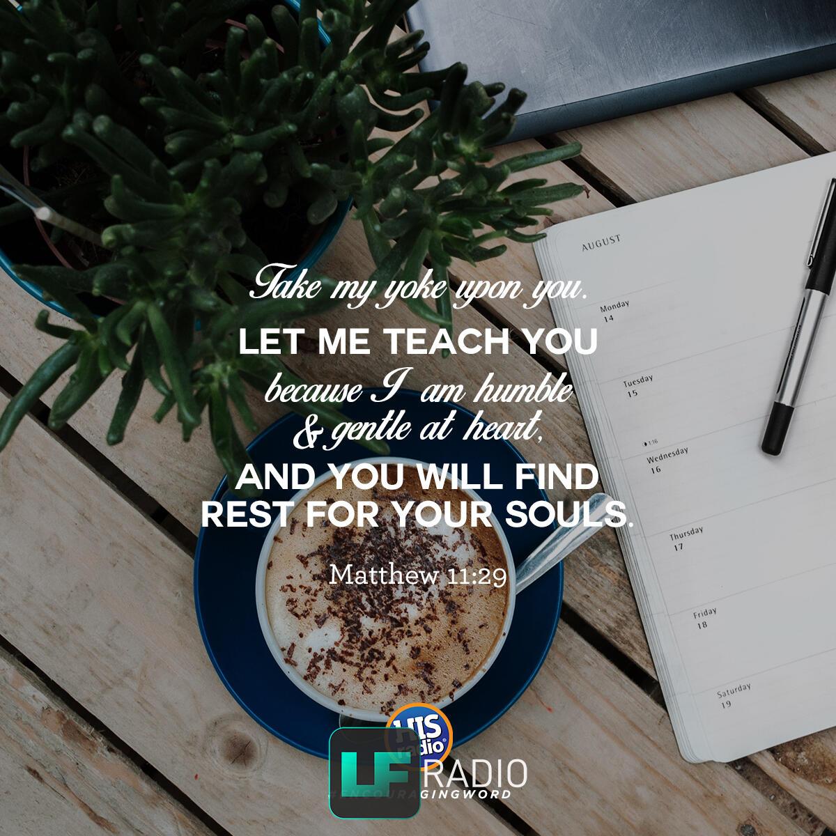 Matthew 11:29 - Verse of the Day