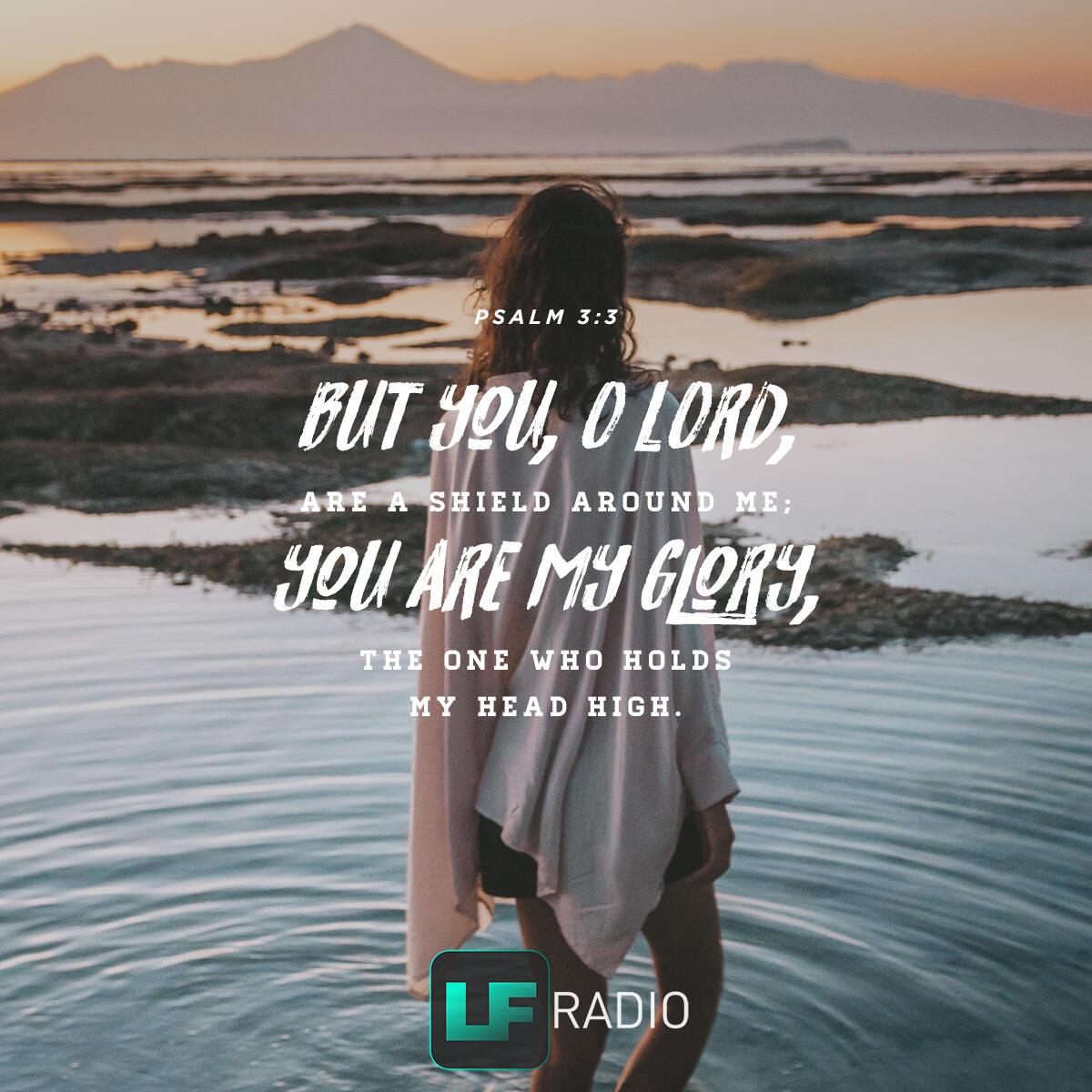 Psalm 3:3 - Verse of the Day