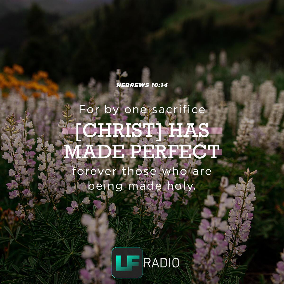 Hebrews 10:14 - Verse of the Day