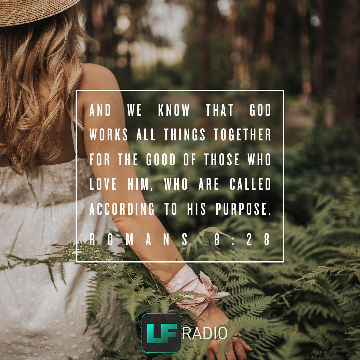 Romans 8:28 - Verse of the Day