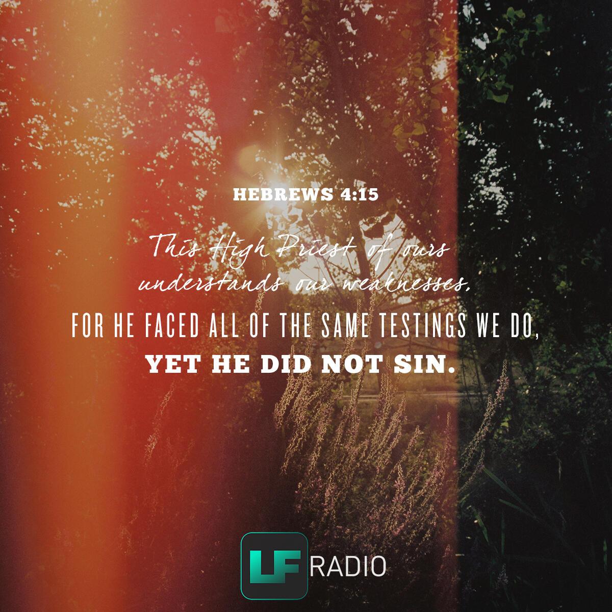 Hebrews 4:15 - Verse of the Day