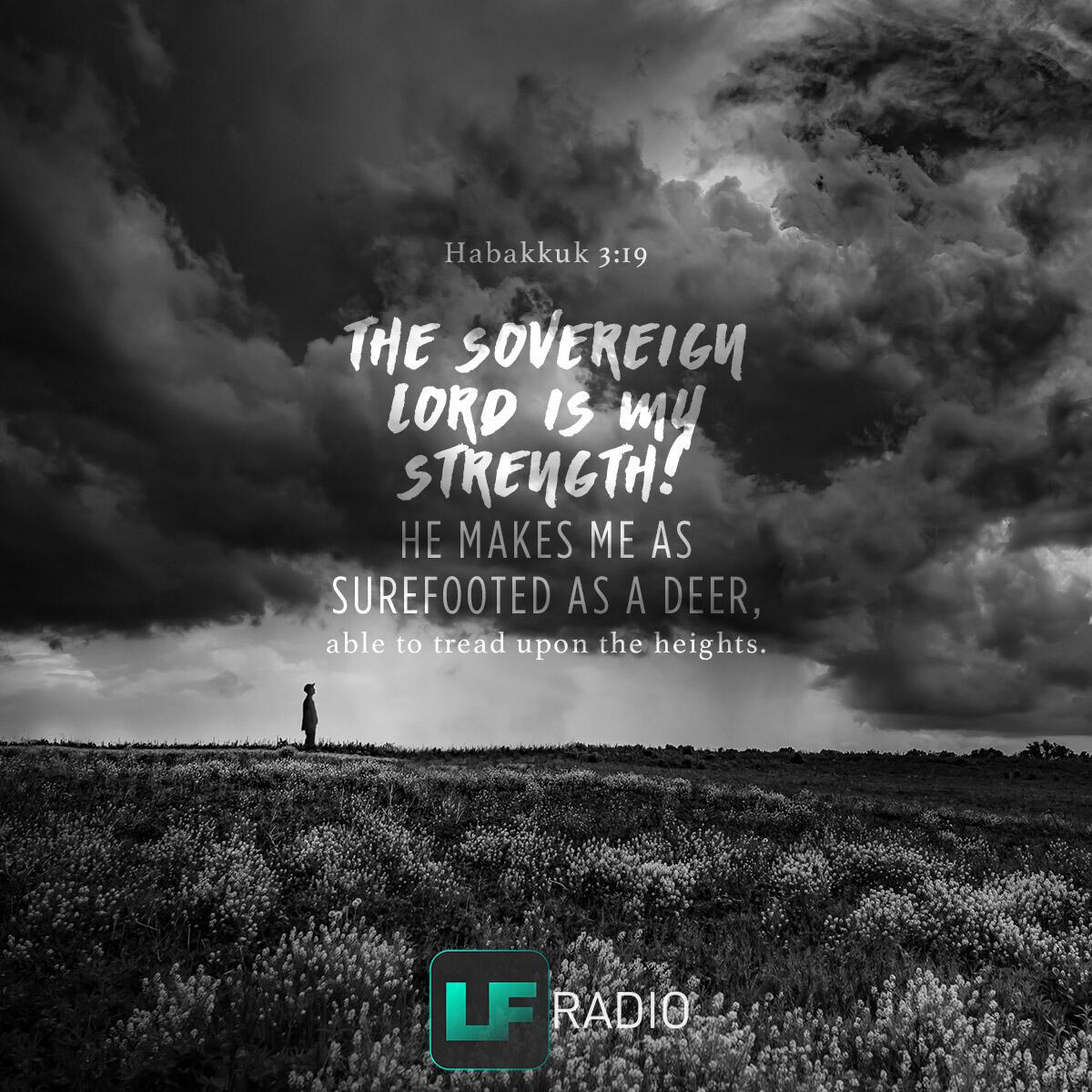 Habakkuk 3:19 - Verse of the Day