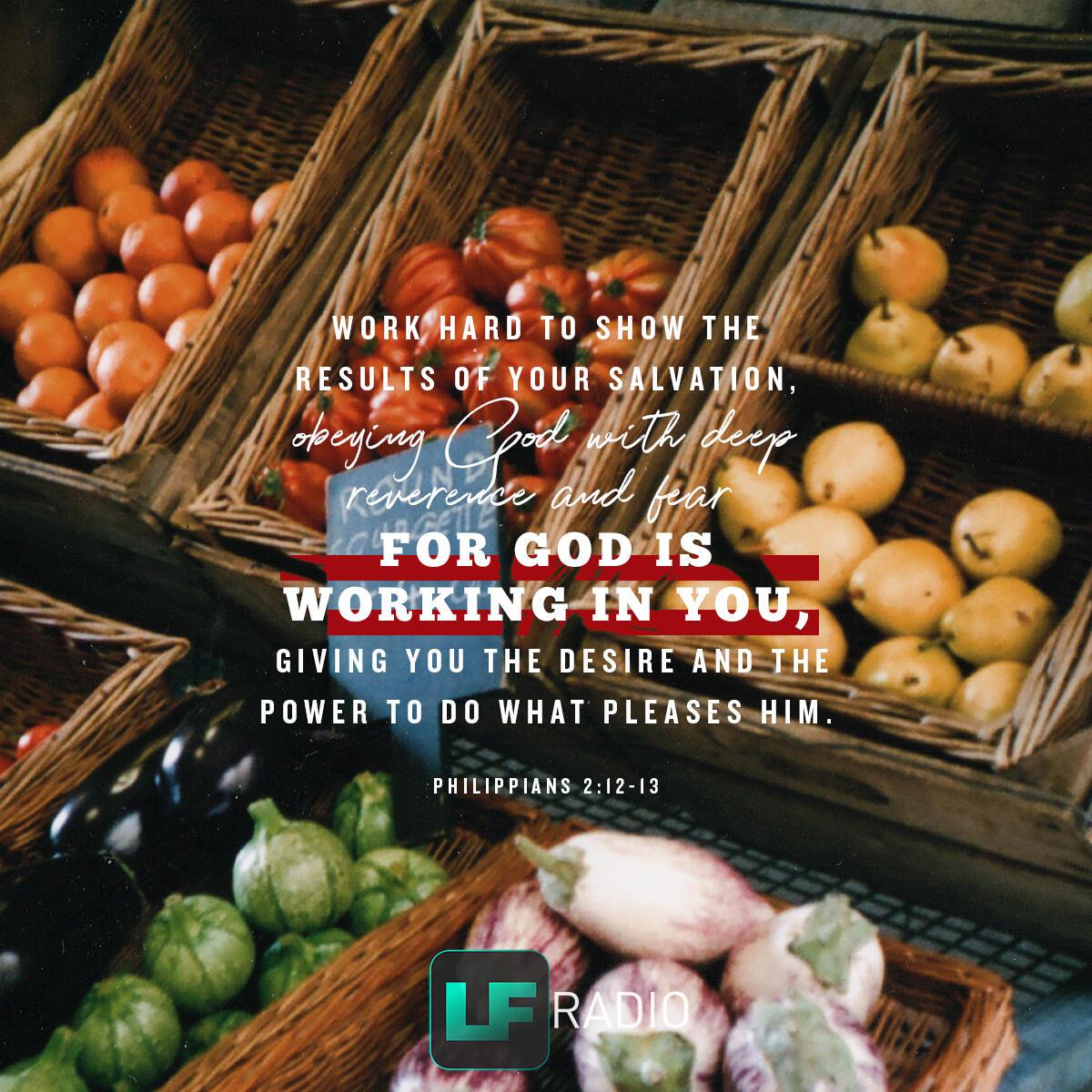 Philippians 2:12-13 - Verse of the Day