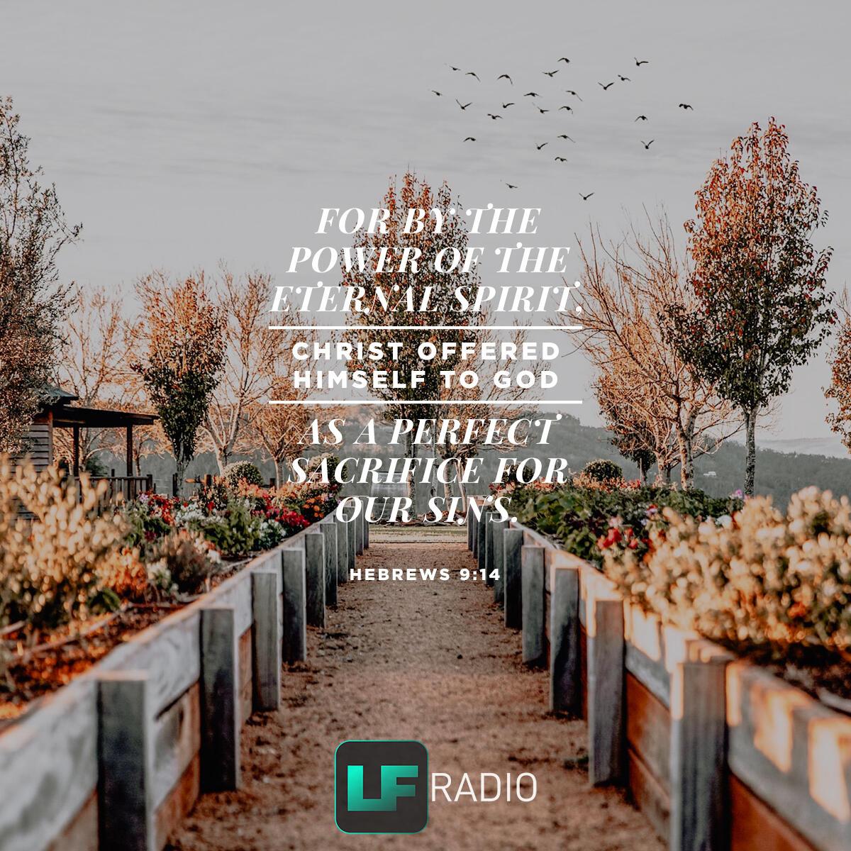Hebrews 9:14 - Verse of the Day