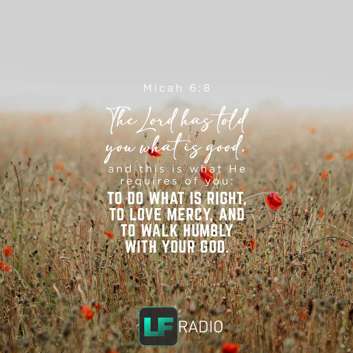 Micah 6:8 - Verse of the Day