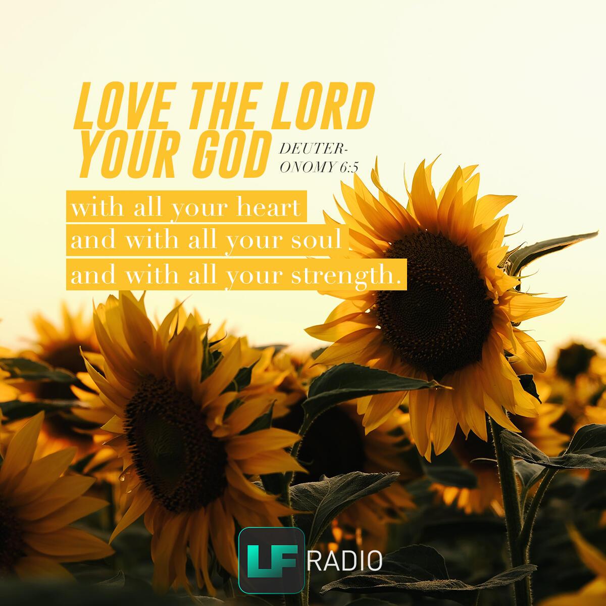 Deuteronomy 6:5 - Verse of the Day