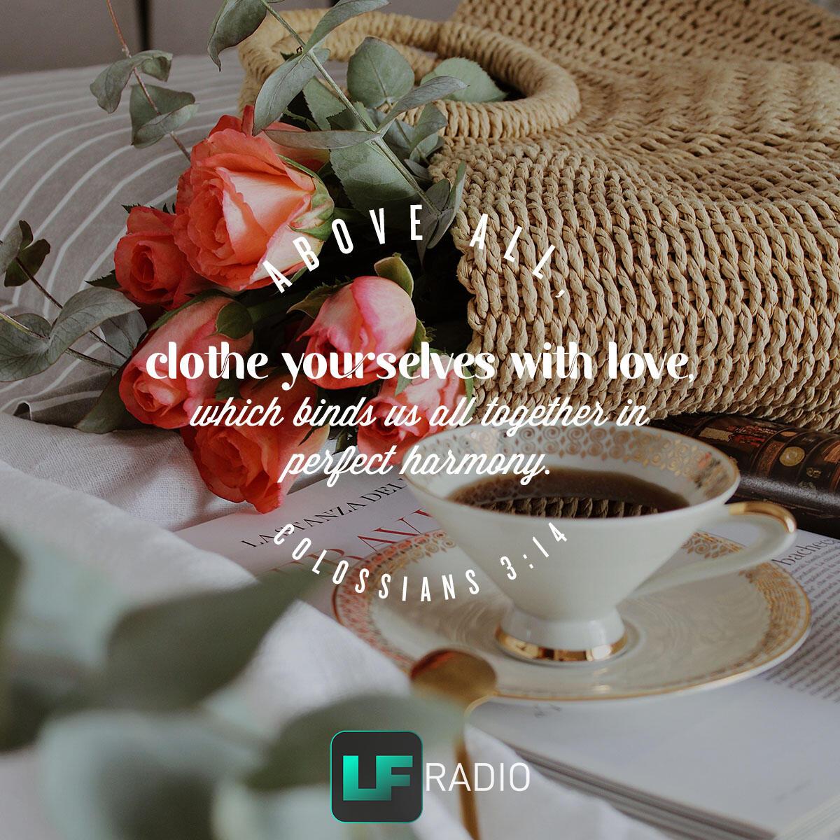 Colossians 3:14 - Verse of the Day