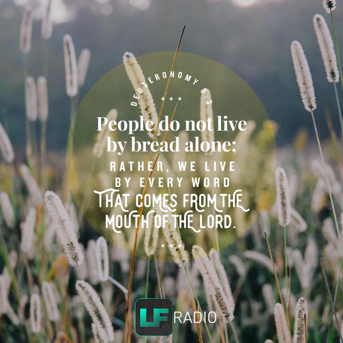 Deuteronomy 8:3 - Verse of the Day