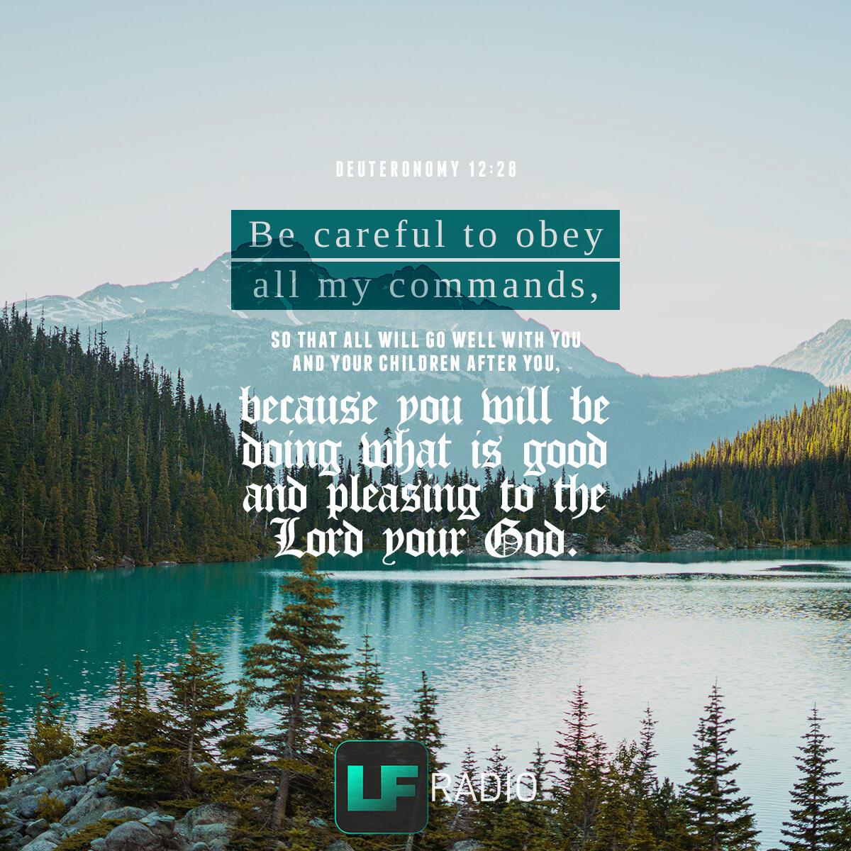Deuteronomy 12:28 - Verse of the Day