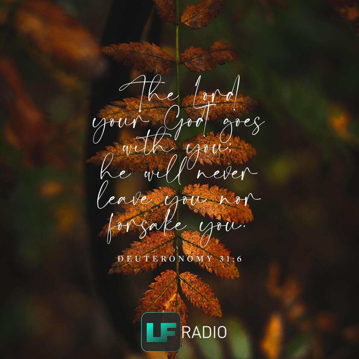 Deuteronomy 31:6 - Verse of the Day
