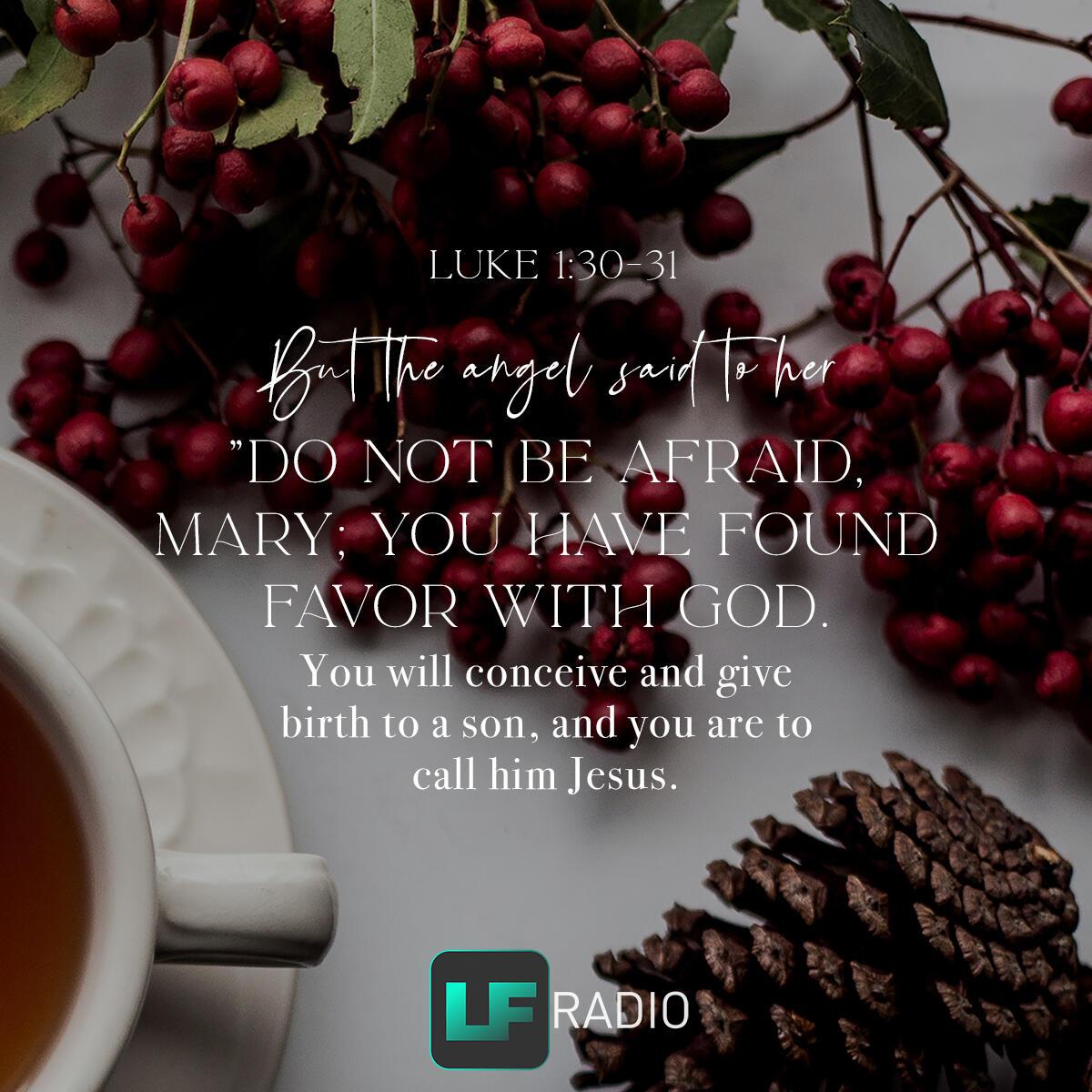 Luke 1:30-31 - Verse of the Day