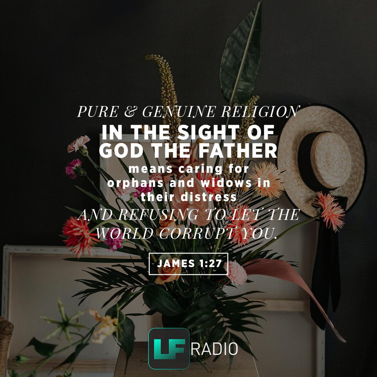 James 1:27 - Verse of the Day
