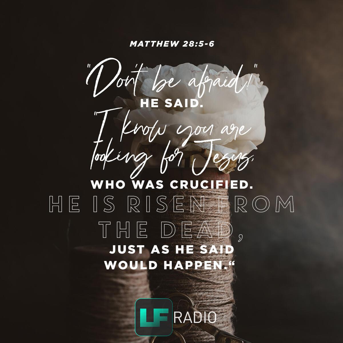 Matthew 28:5-6 - Verse of the Day