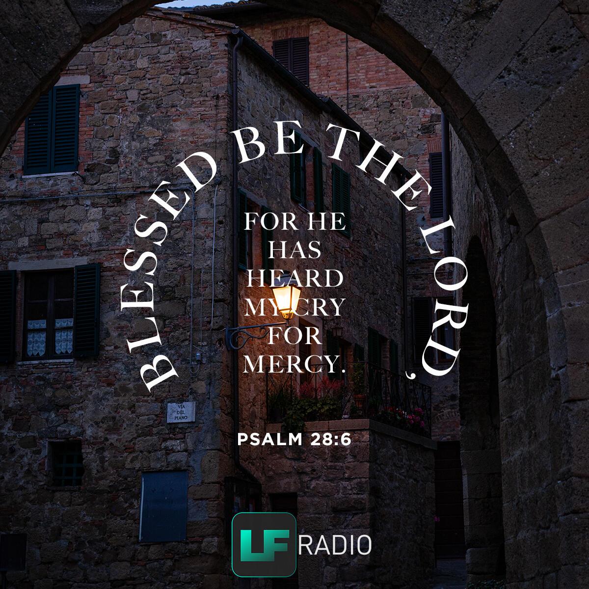 Psalm 28:6 - Verse of the Day