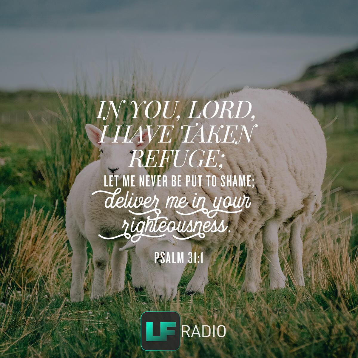 Psalm 31:1 - Verse of the Day