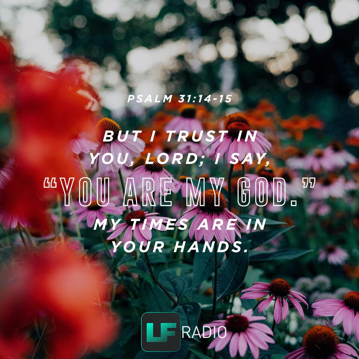 Psalm 31: 14-15 - Verse of the Day