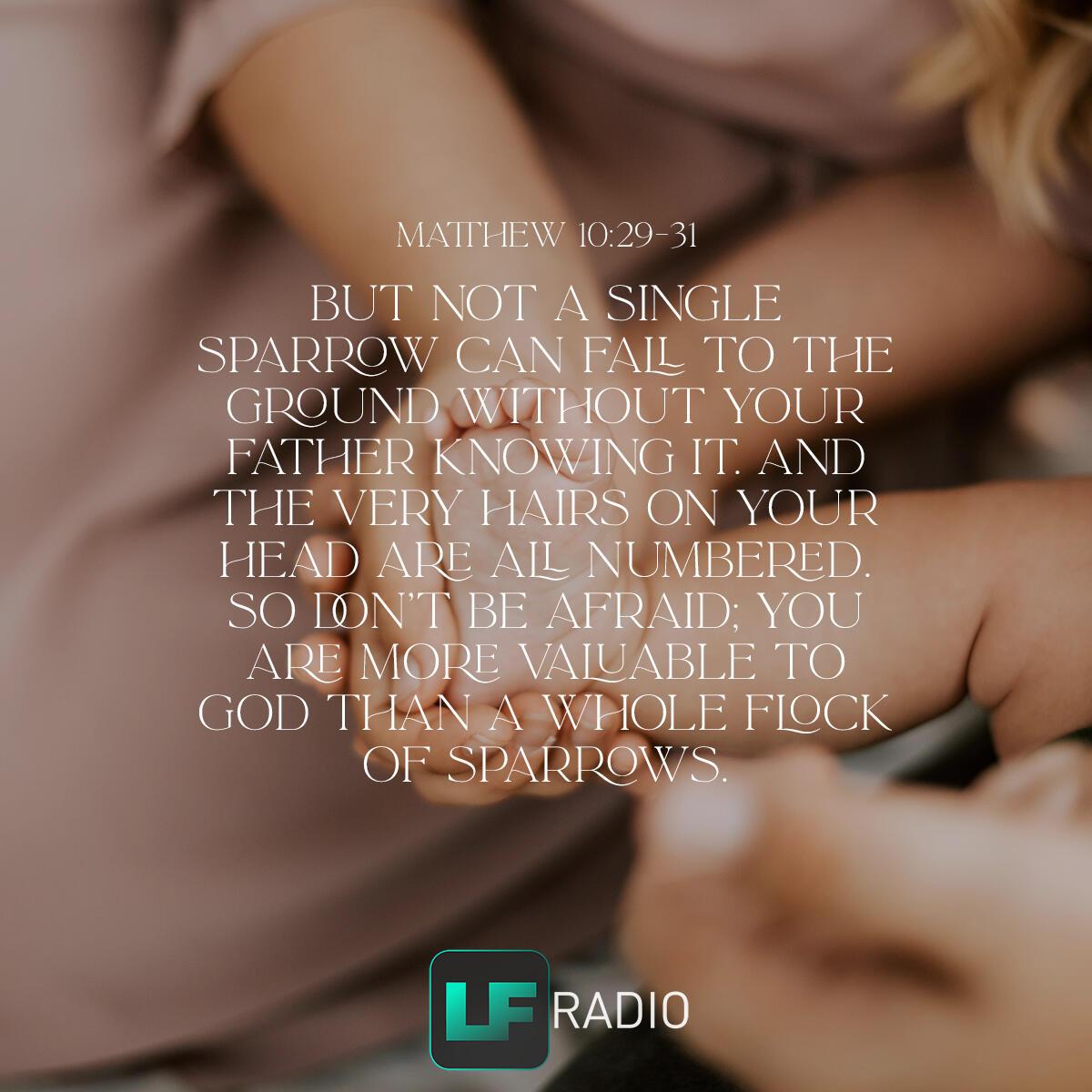 Matthew 10:29-31 - Verse of the Day