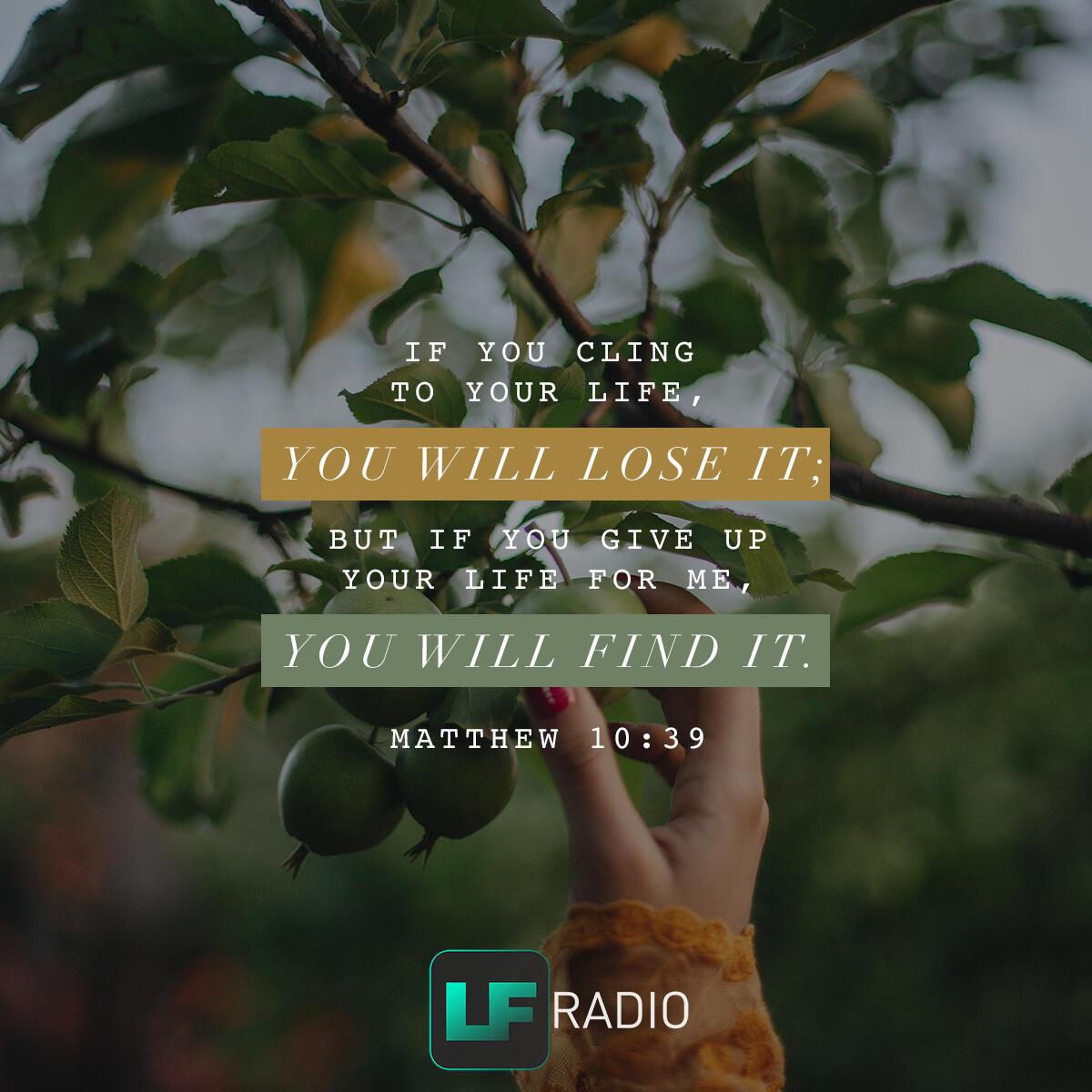 Matthew 10:39 - Verse of the Day