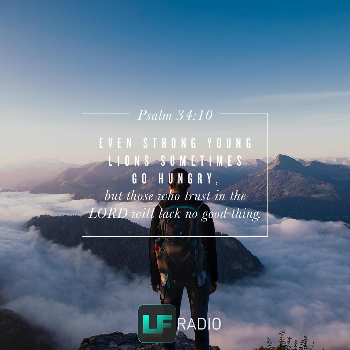 Psalm 34:10 - Verse of the Day