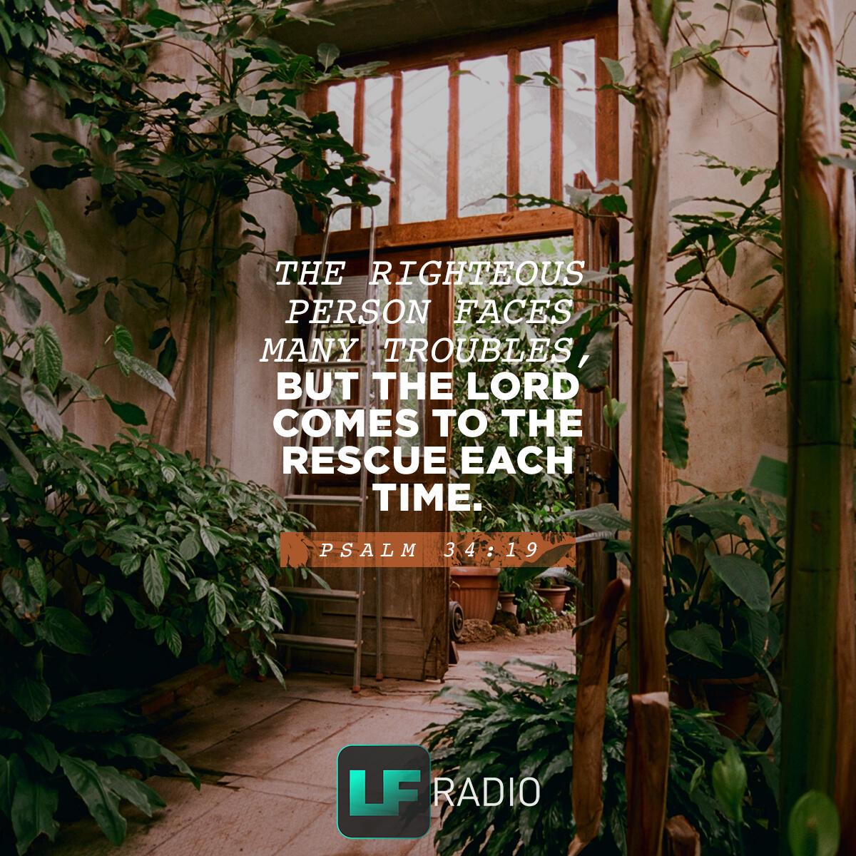 Psalm 34:19 - Verse of the Day