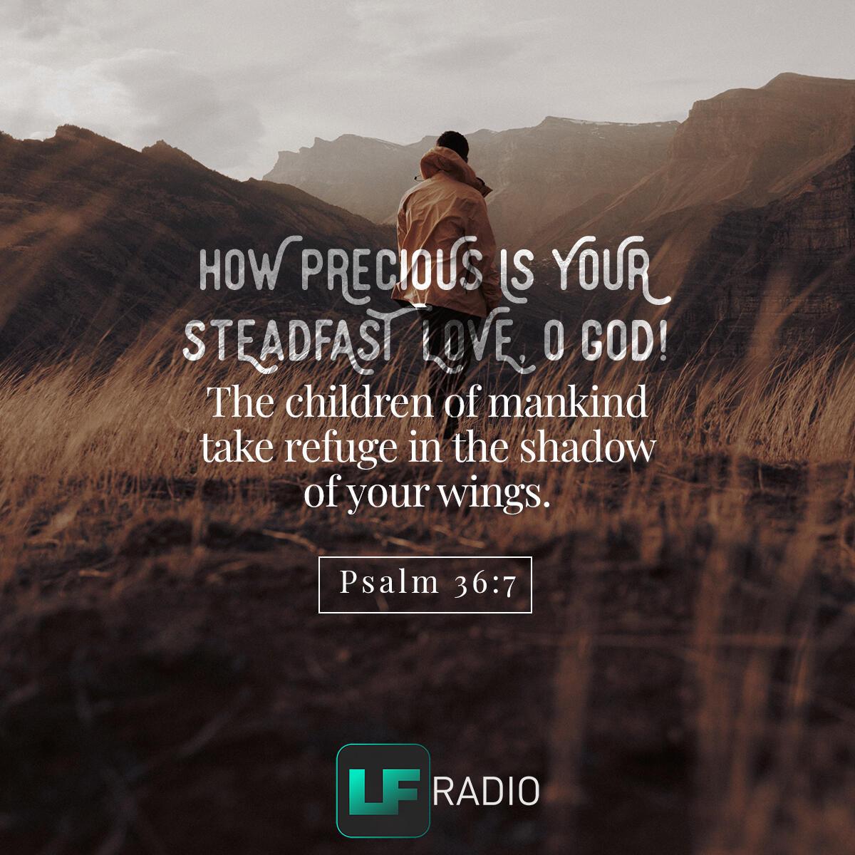 Psalm 36:7 - Verse of the Day