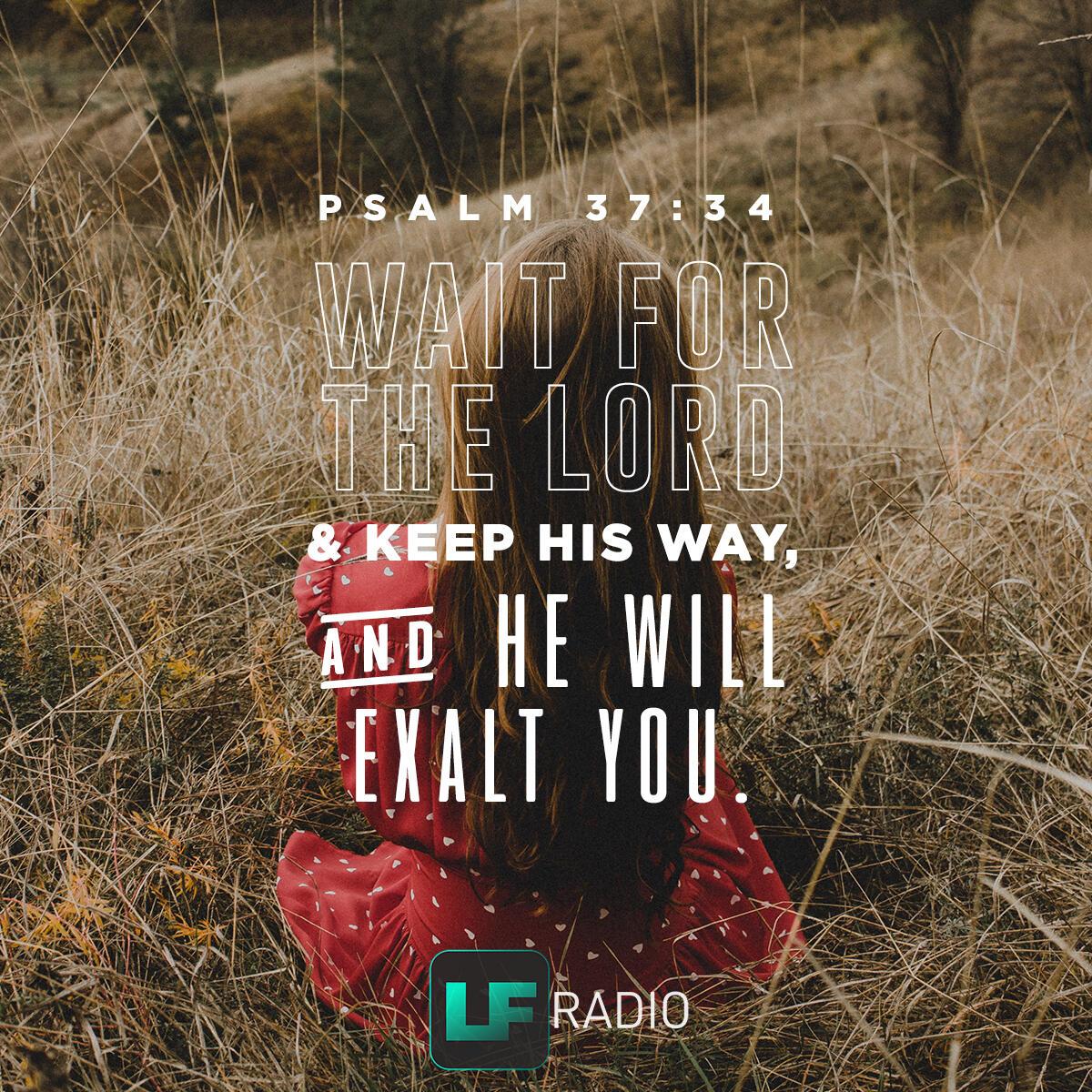 Psalm 37:34 - Verse of the Day