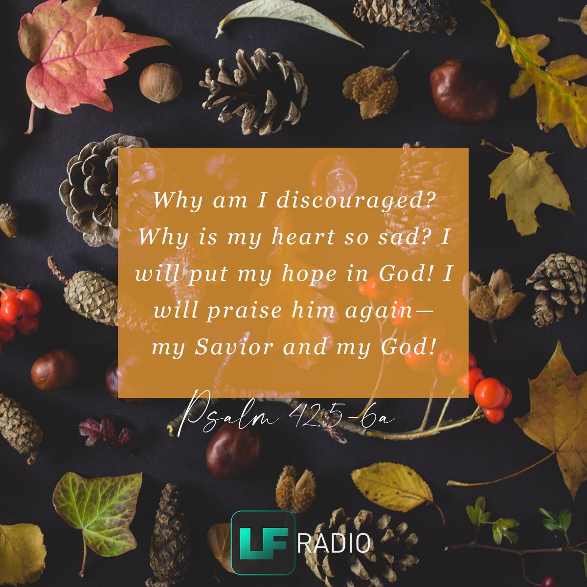 Psalm 42:5-6a - Verse of the Day
