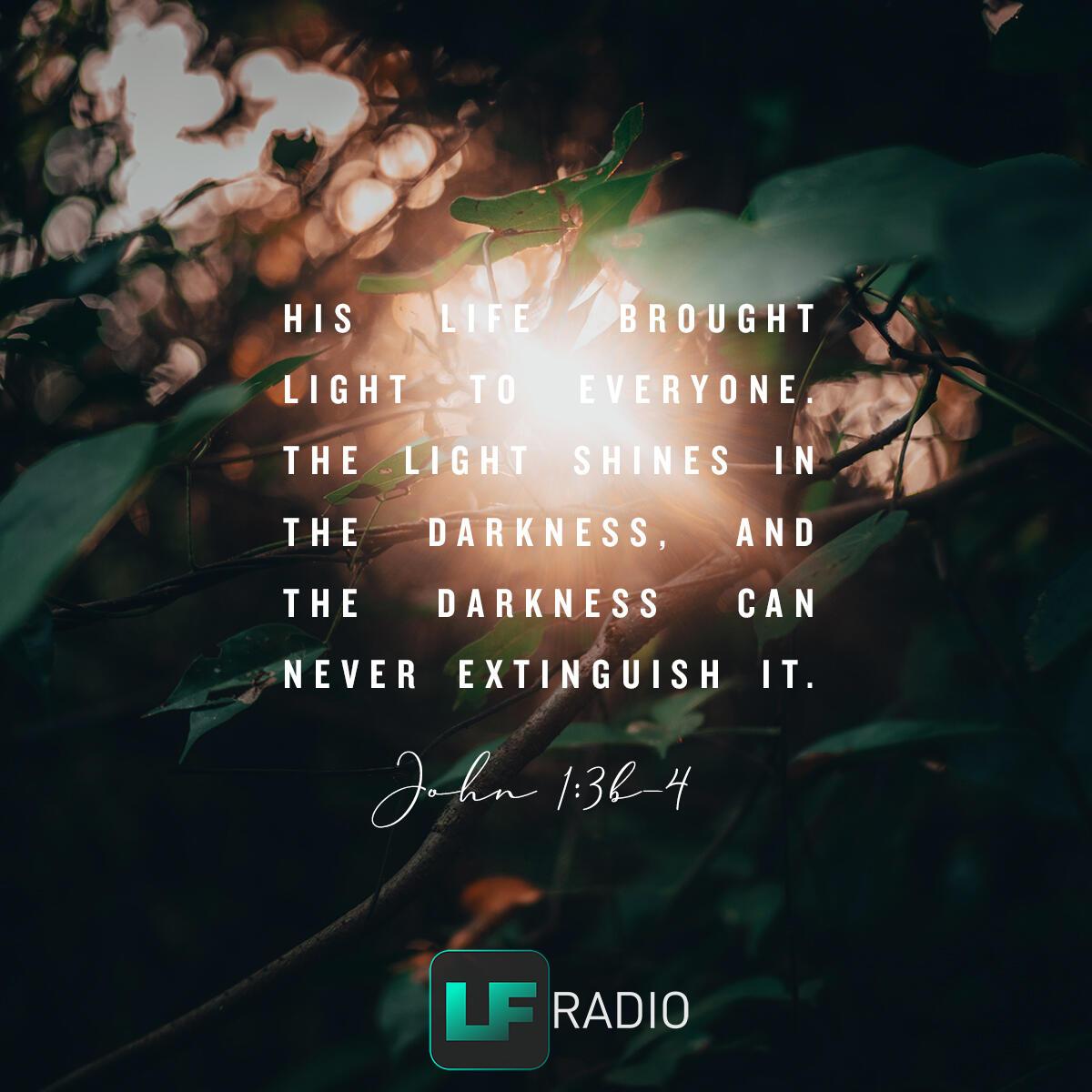 John 1:3b-4 - Verse of the Day